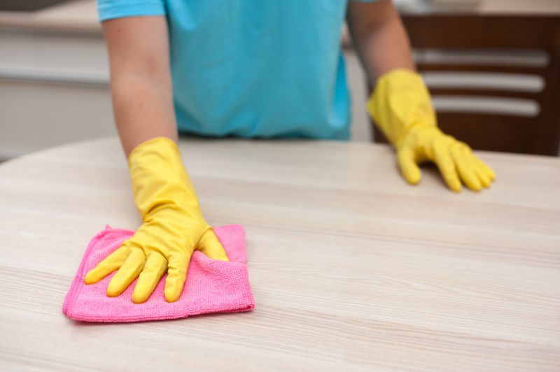 Move In Cleaning Service in Renton, WA